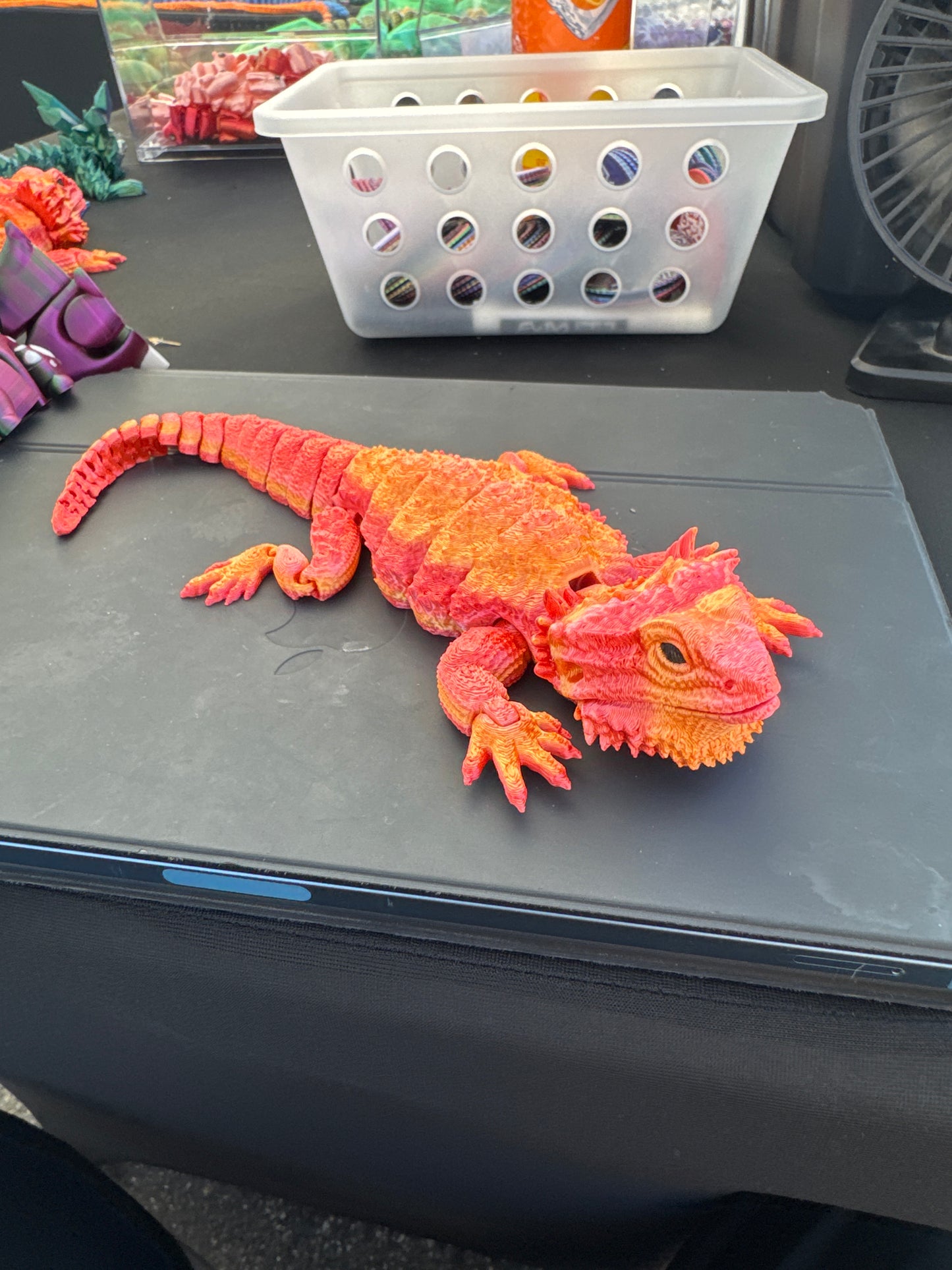 Bearded Dragon