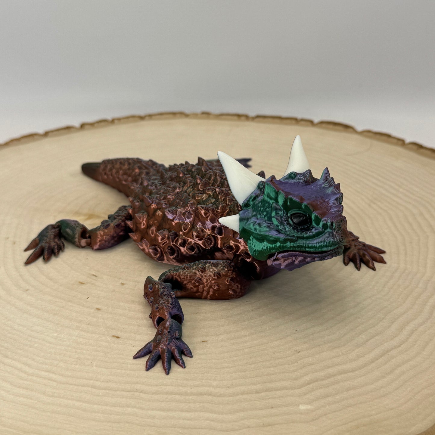 Horned Lizard