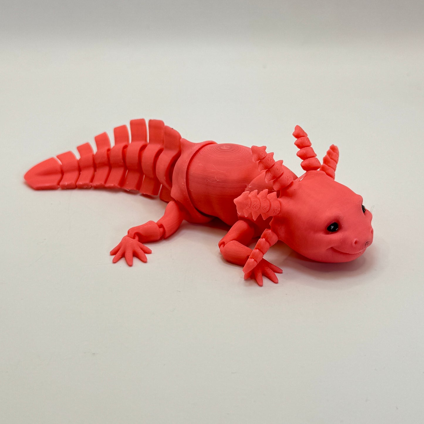 Axolotl