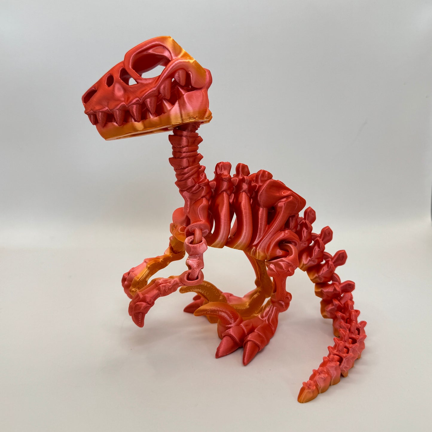 Skeleton Raptor