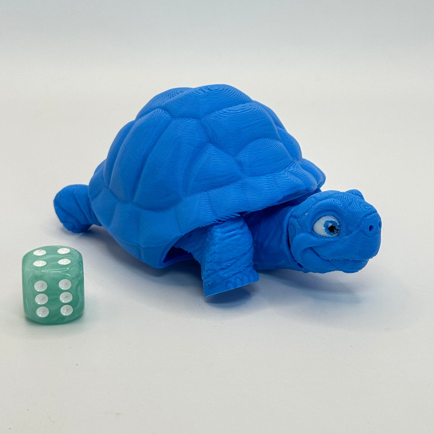 Tortoise