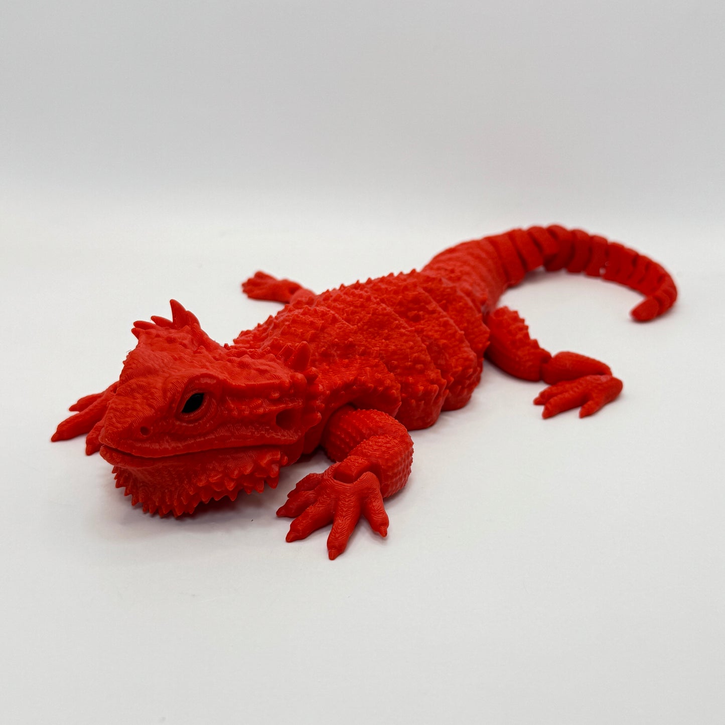 Bearded Dragon