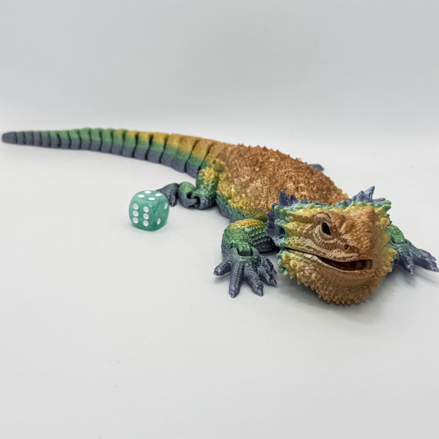 Bearded Dragon