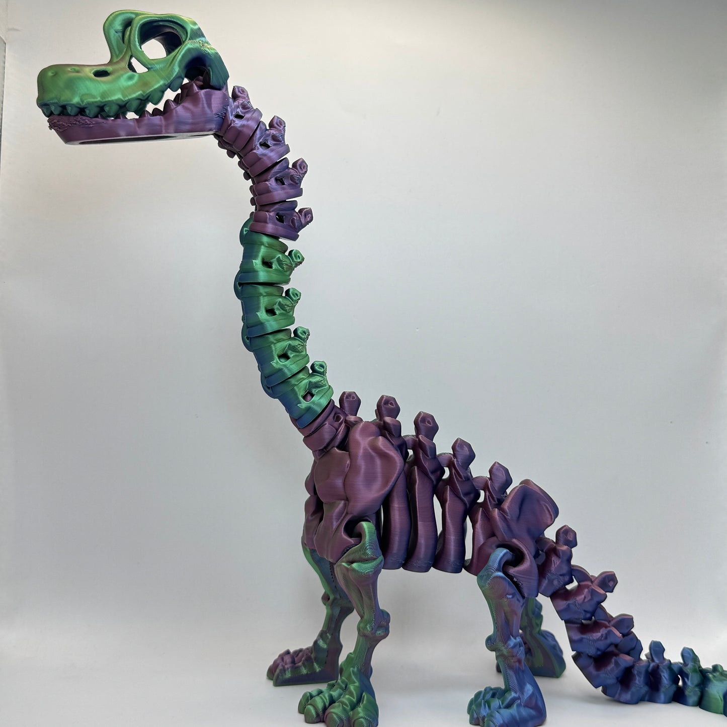 Skeleton Brachiosaurus