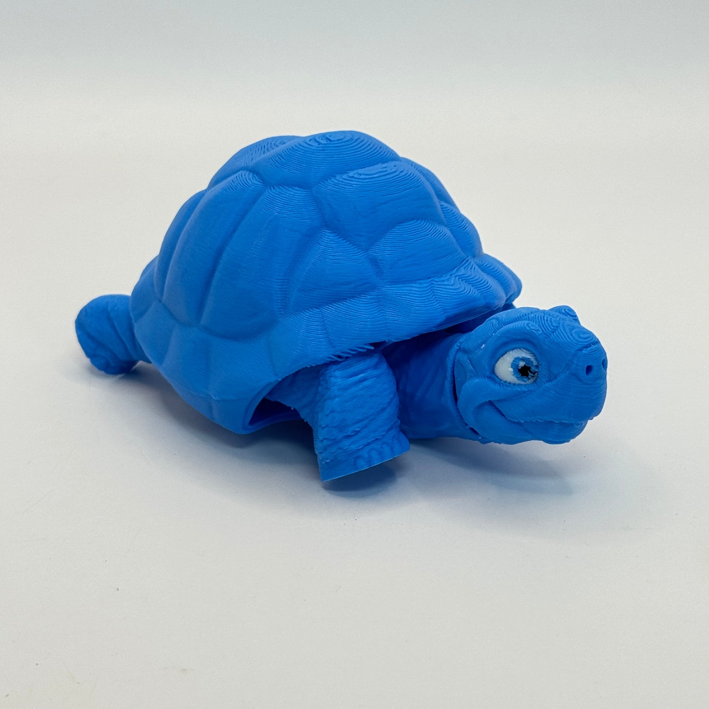Tortoise