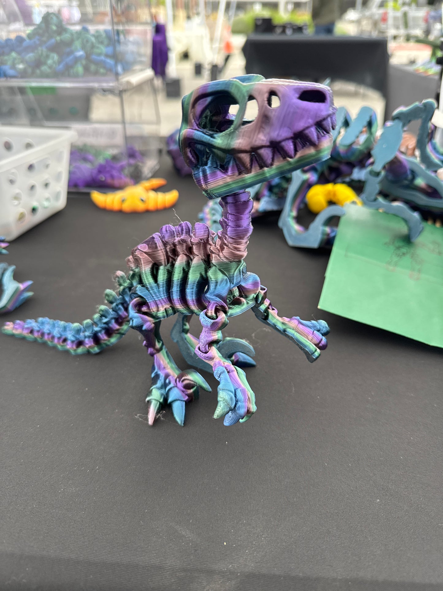 Skeleton Raptor