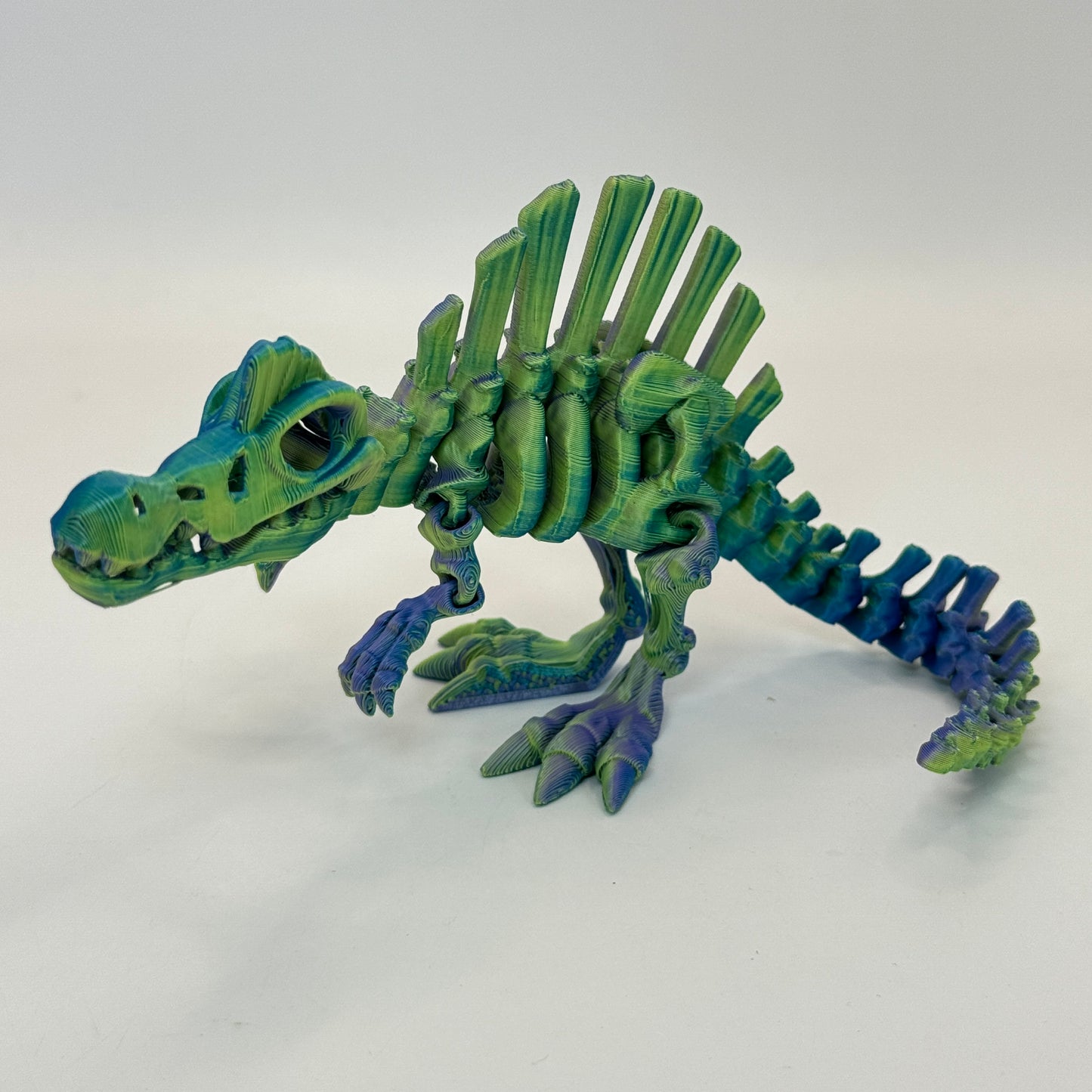 Skeleton Spino
