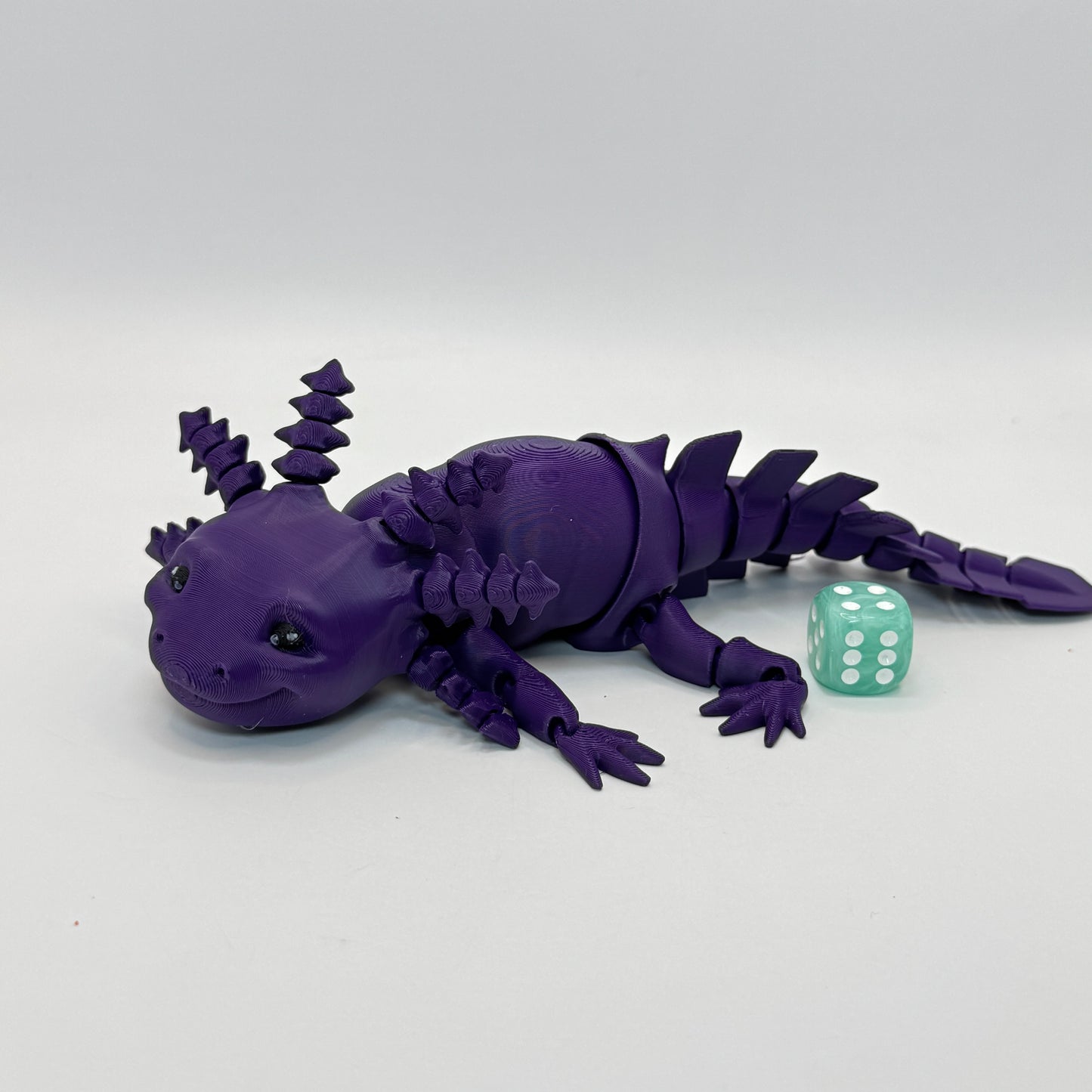 Axolotl