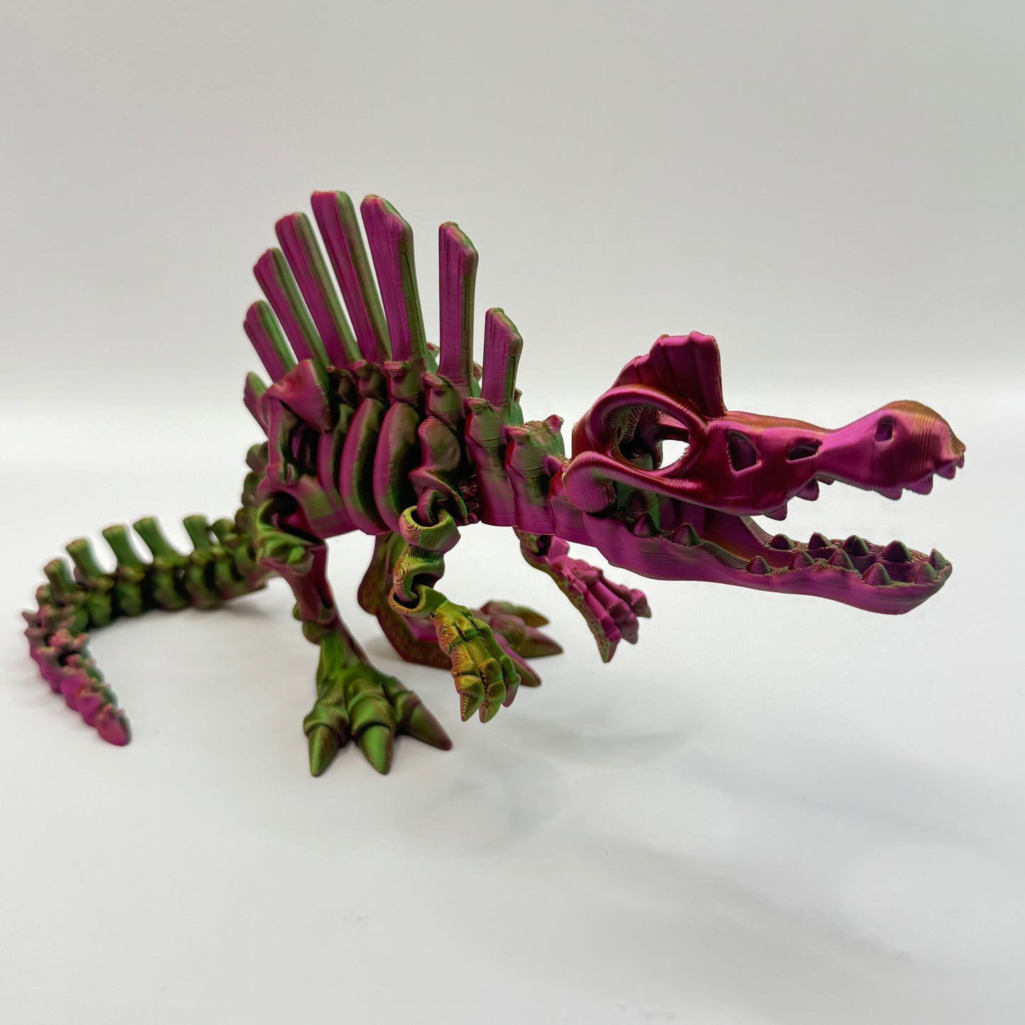 Skeleton Spino