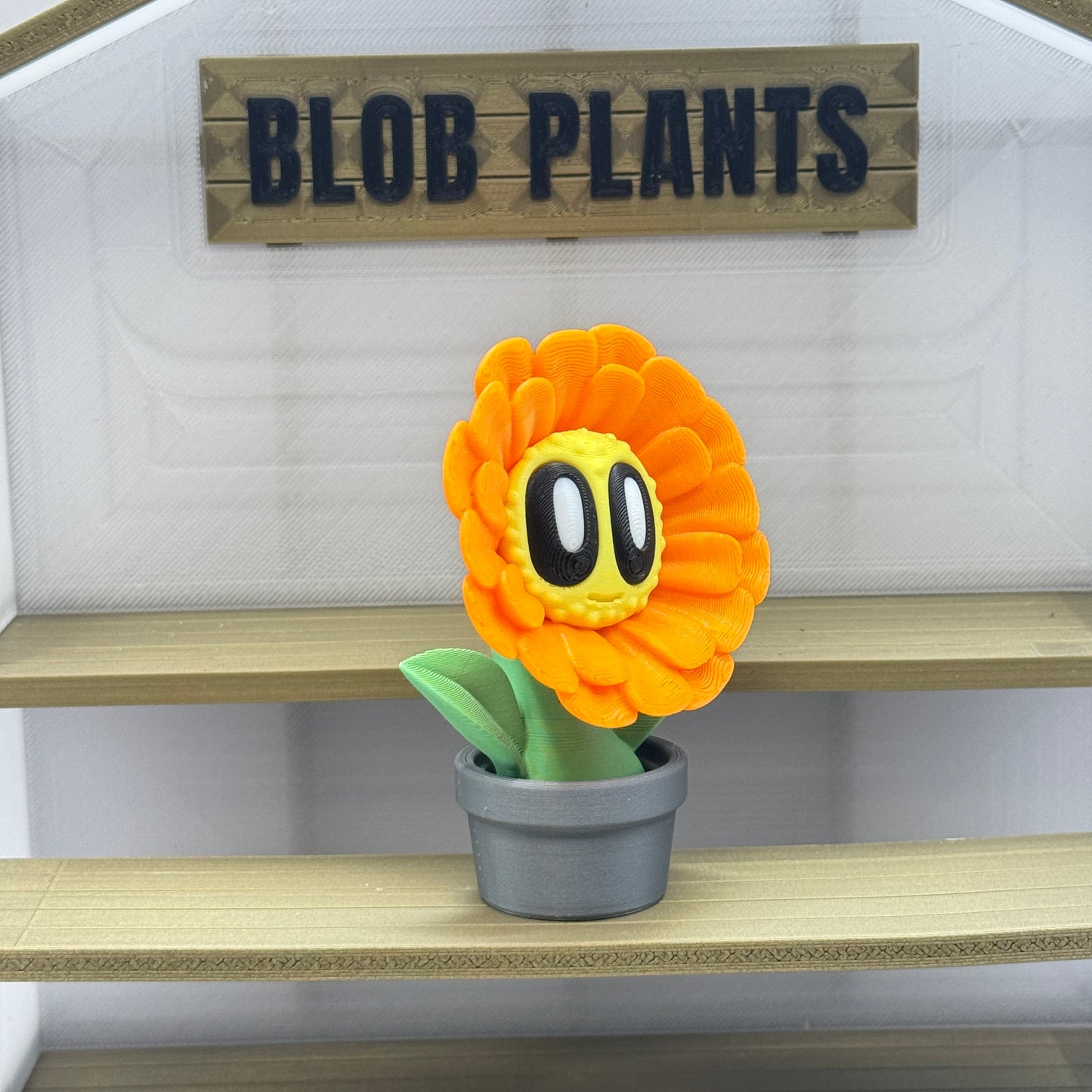 Blob Plant (Daisy)