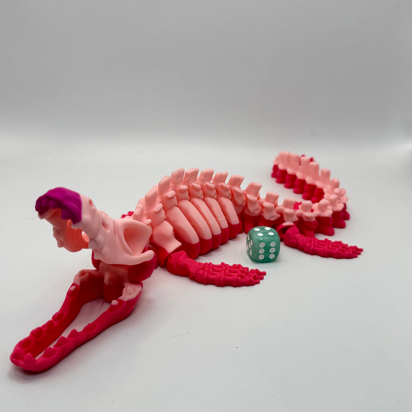 Skeleton Mosasaurus