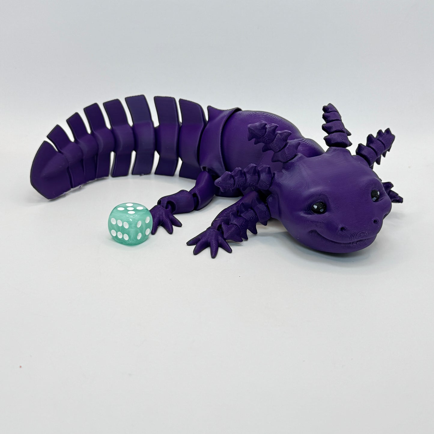 Axolotl
