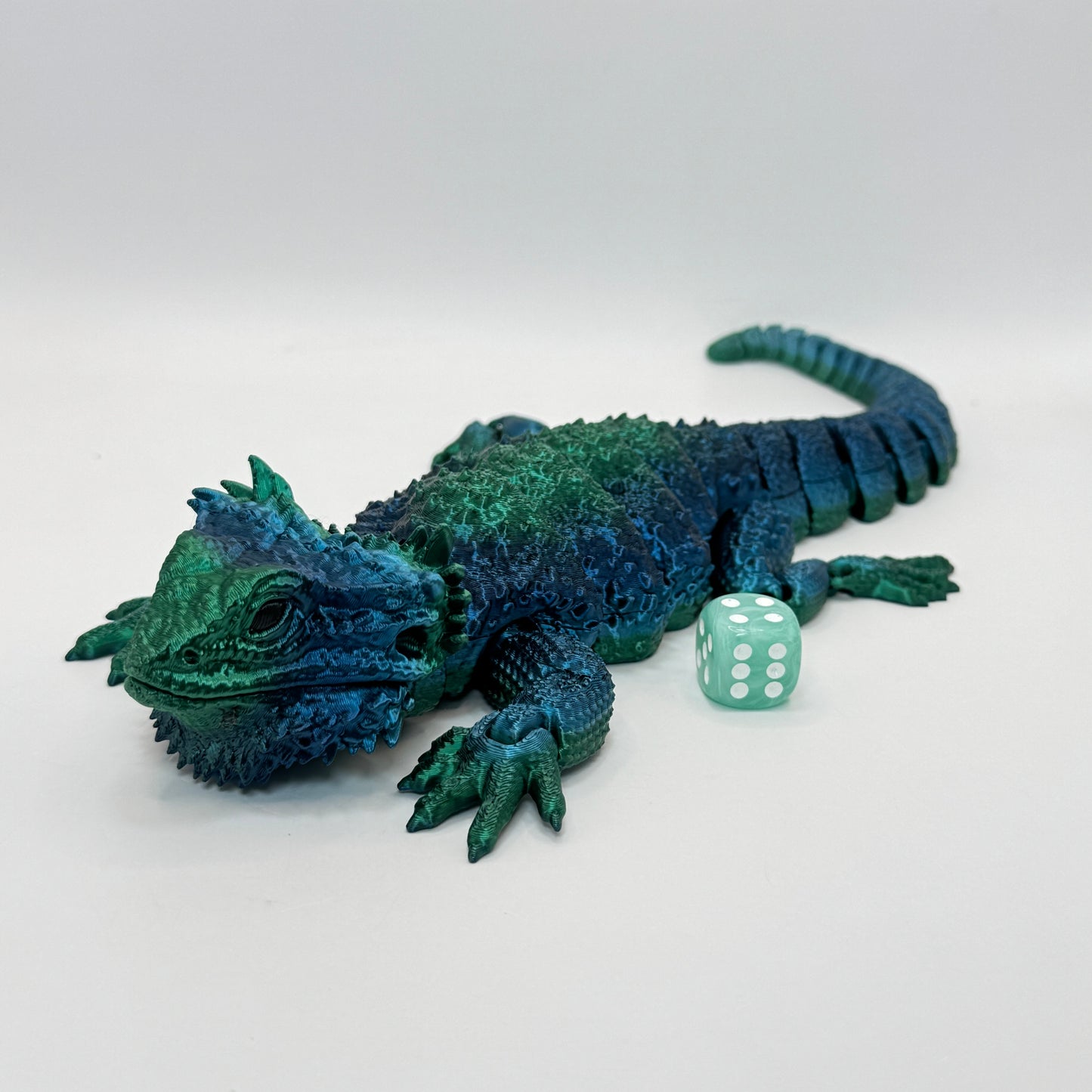 Bearded Dragon