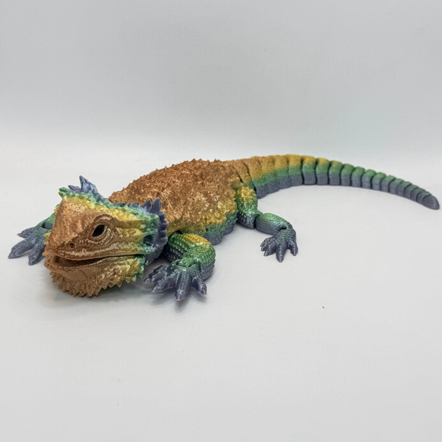 Bearded Dragon