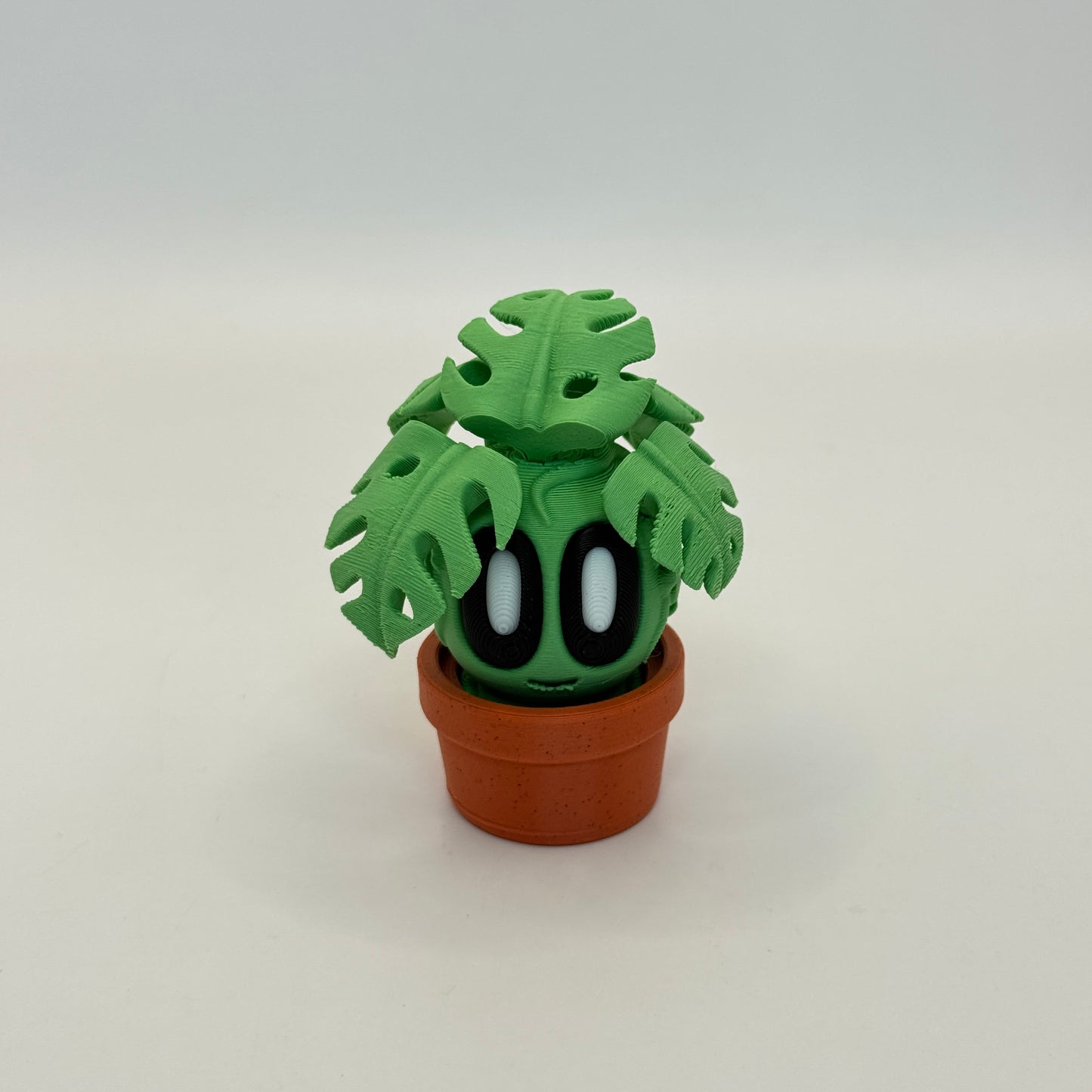 Blob Plant (Monstera)