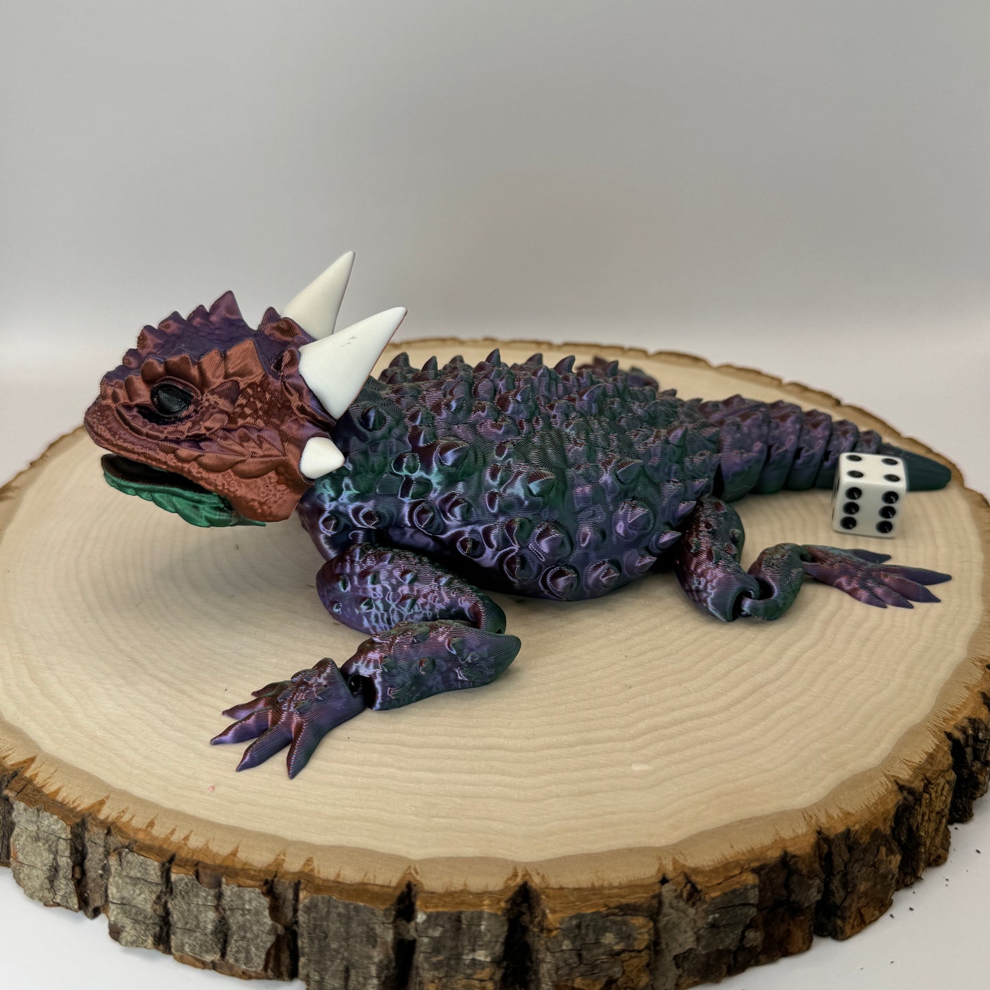 Horned Lizard