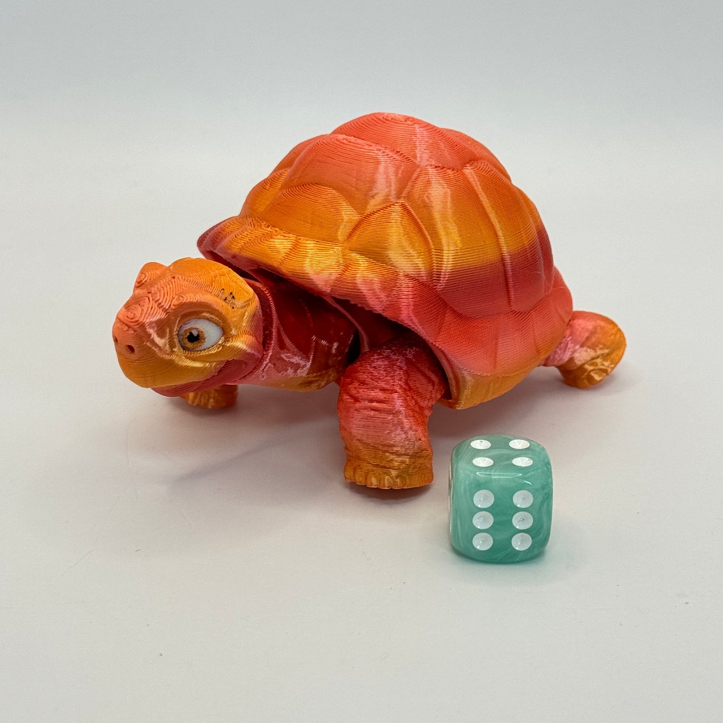 Tortoise