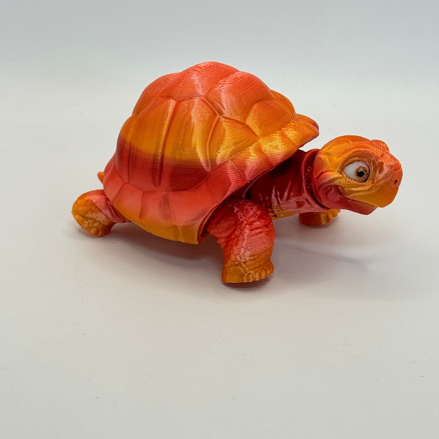 Tortoise