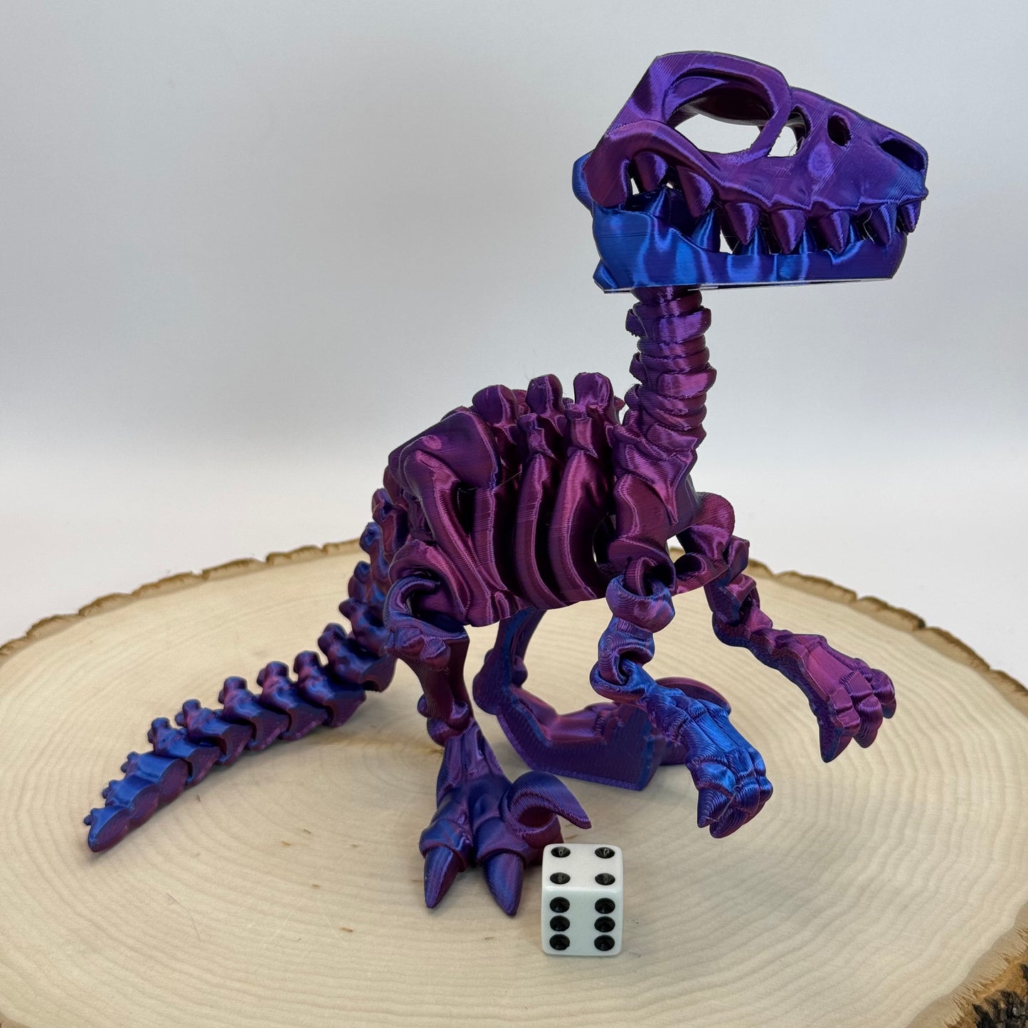 Skeleton Raptor