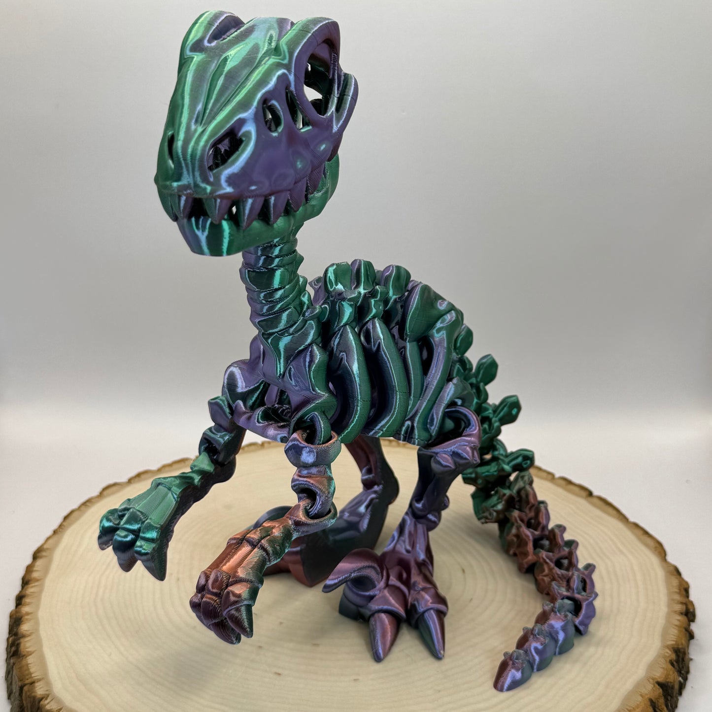 Skeleton Raptor