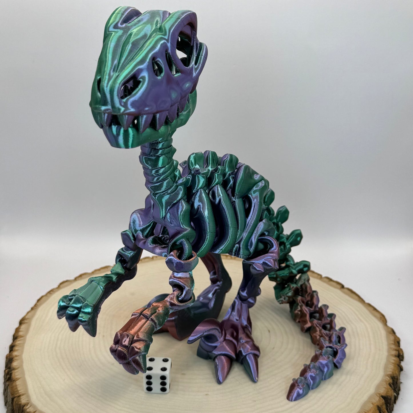 Skeleton Raptor