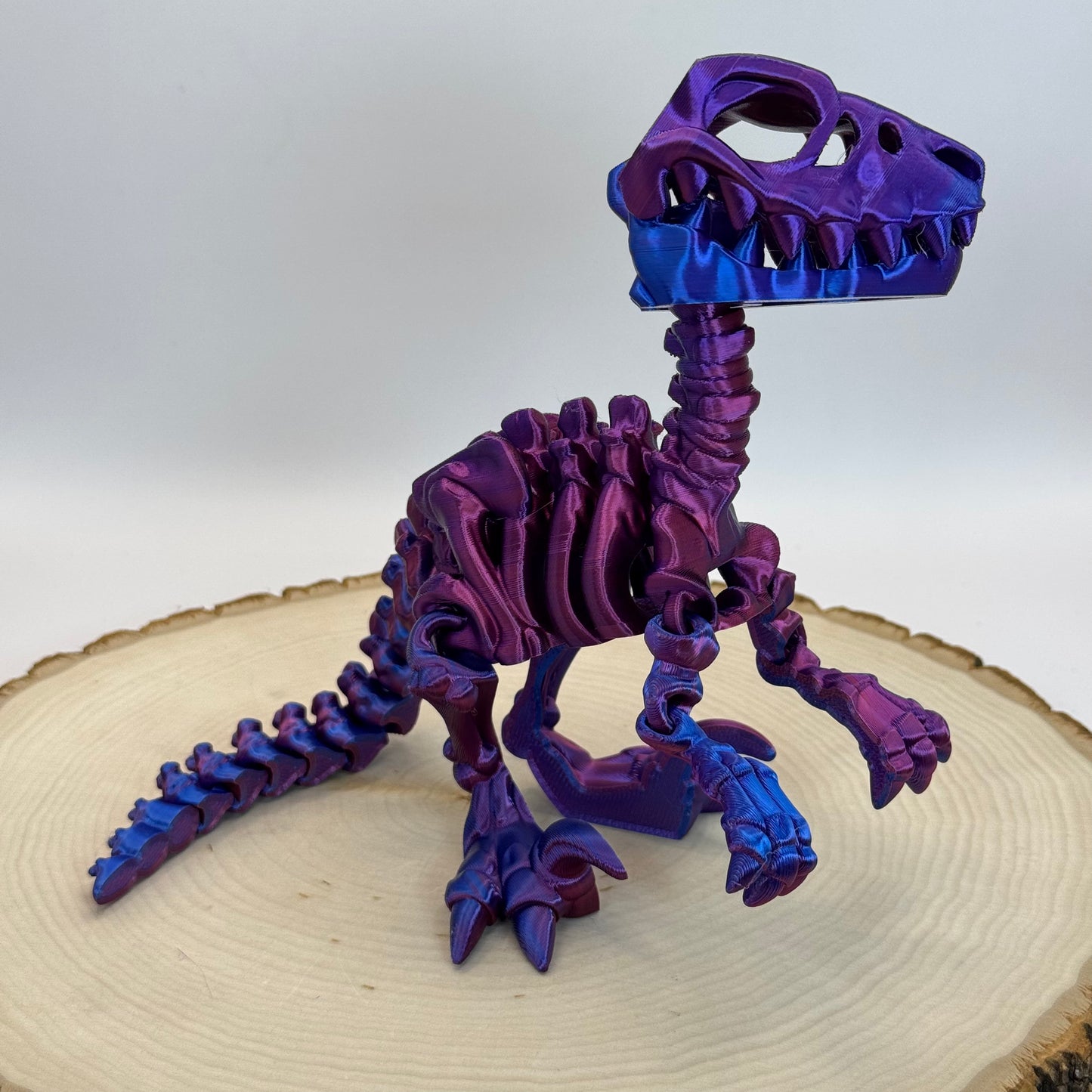 Skeleton Raptor
