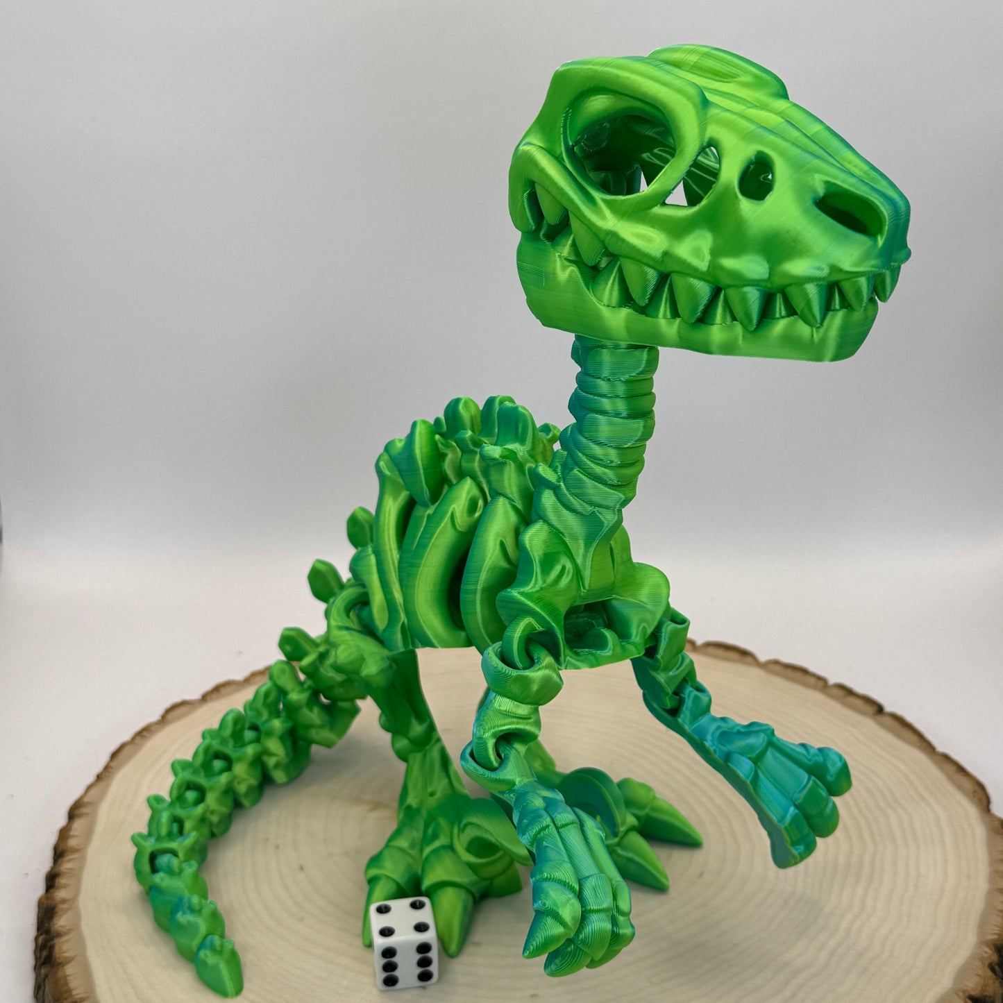 Skeleton Raptor