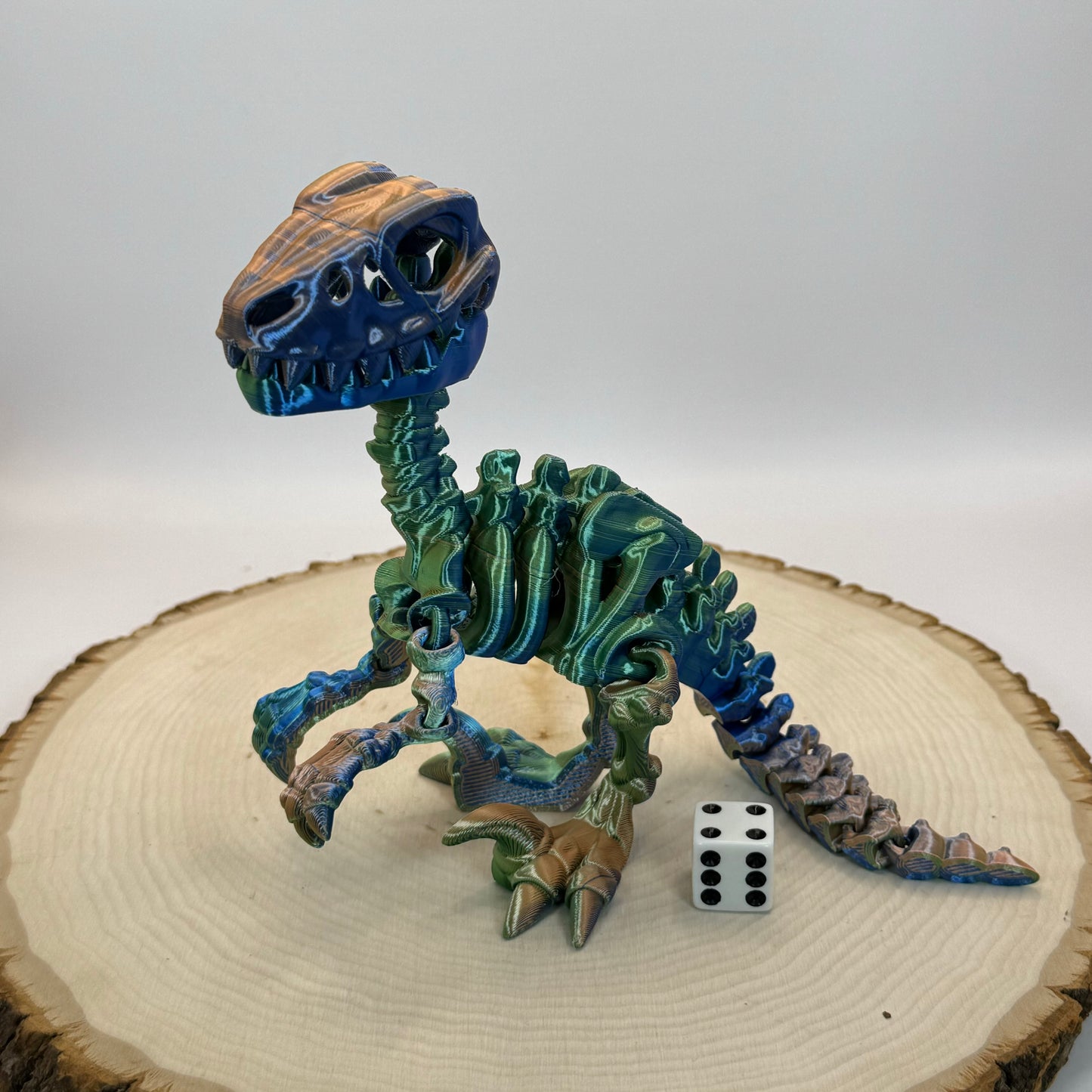 Skeleton Raptor