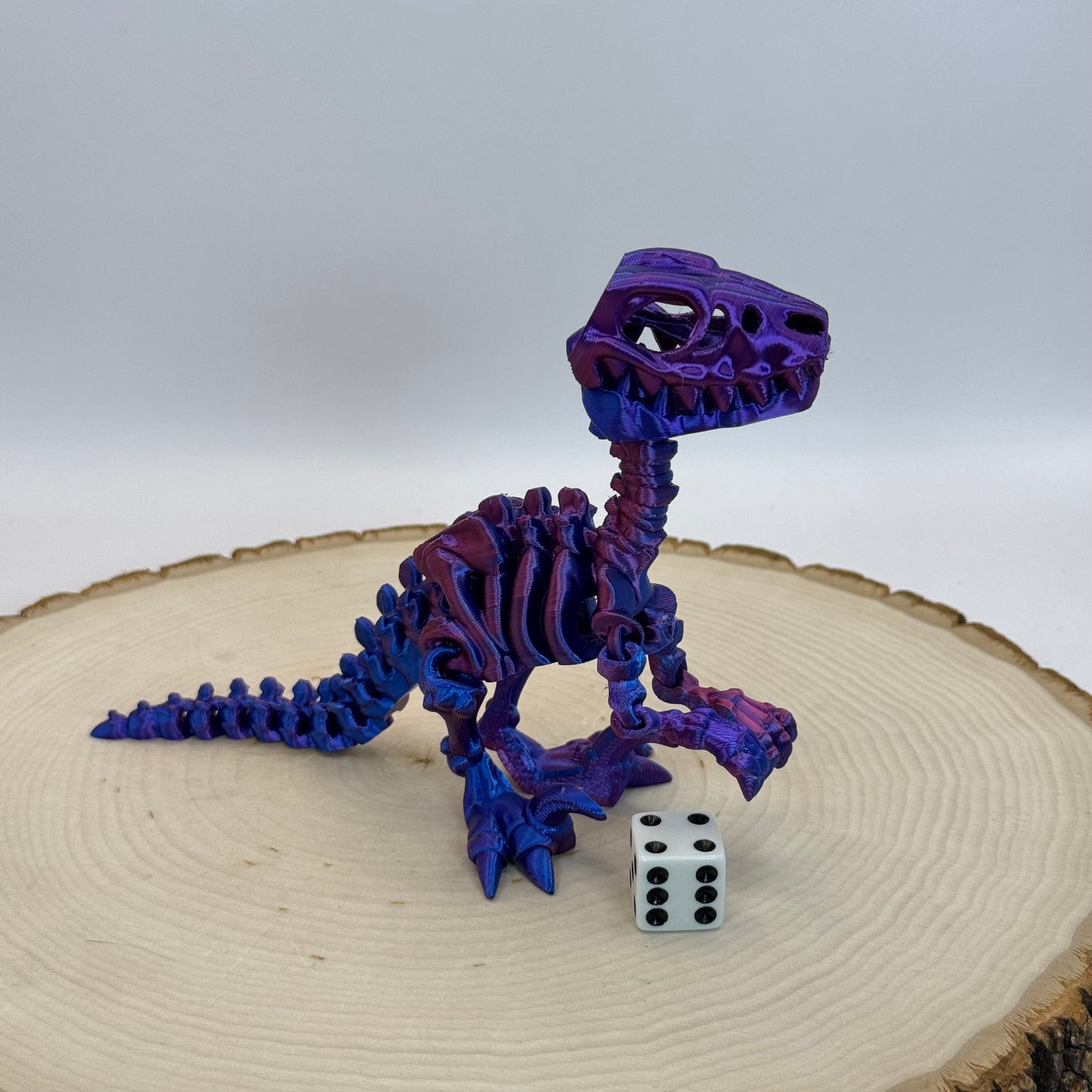 Skeleton Raptor