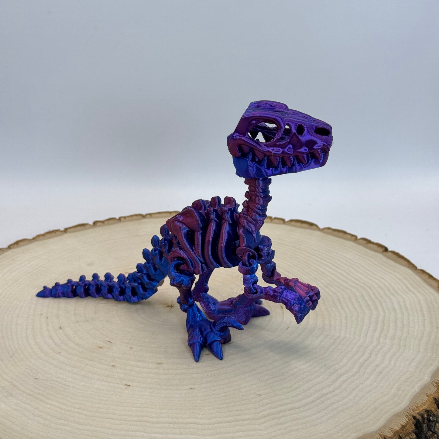 Skeleton Raptor