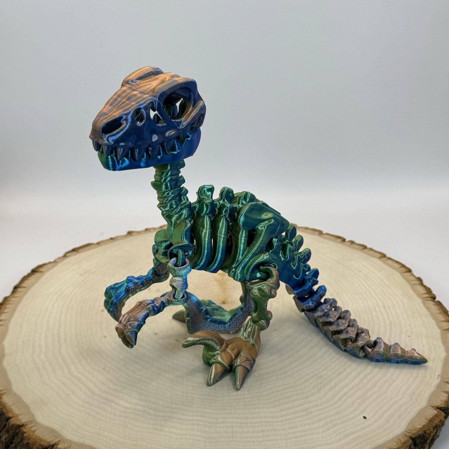 Skeleton Raptor