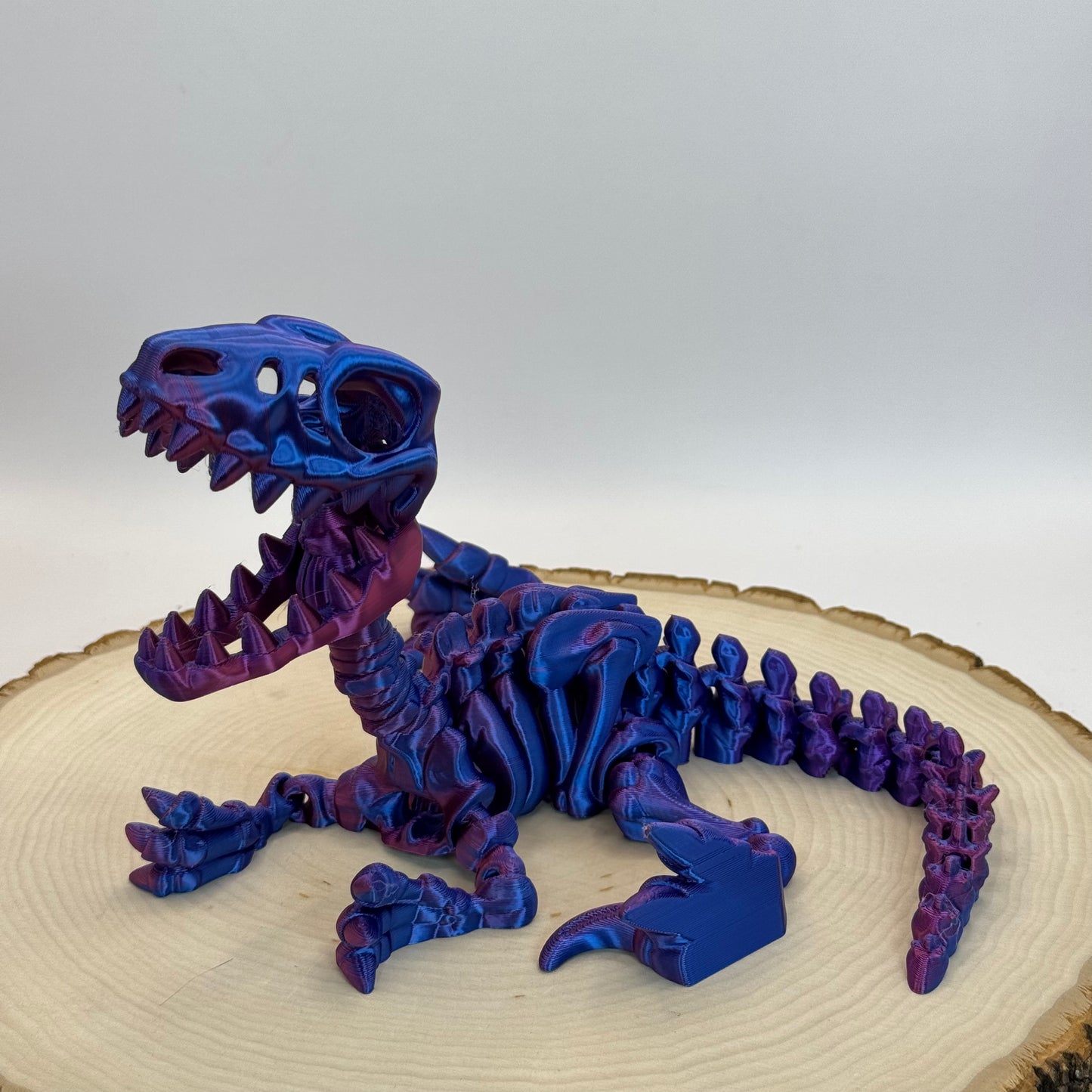 Skeleton Raptor