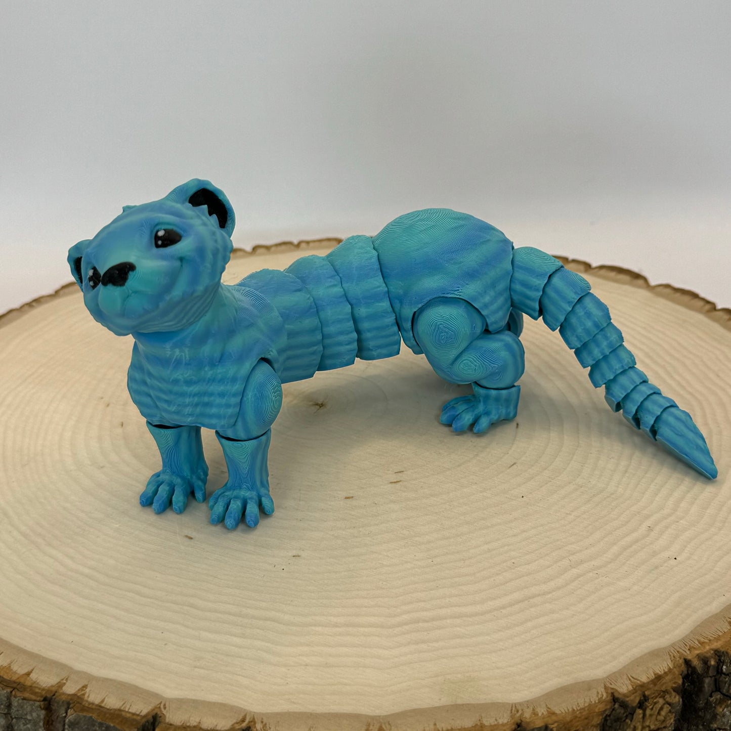 Ferret