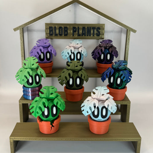Blob Plant (Monstera)