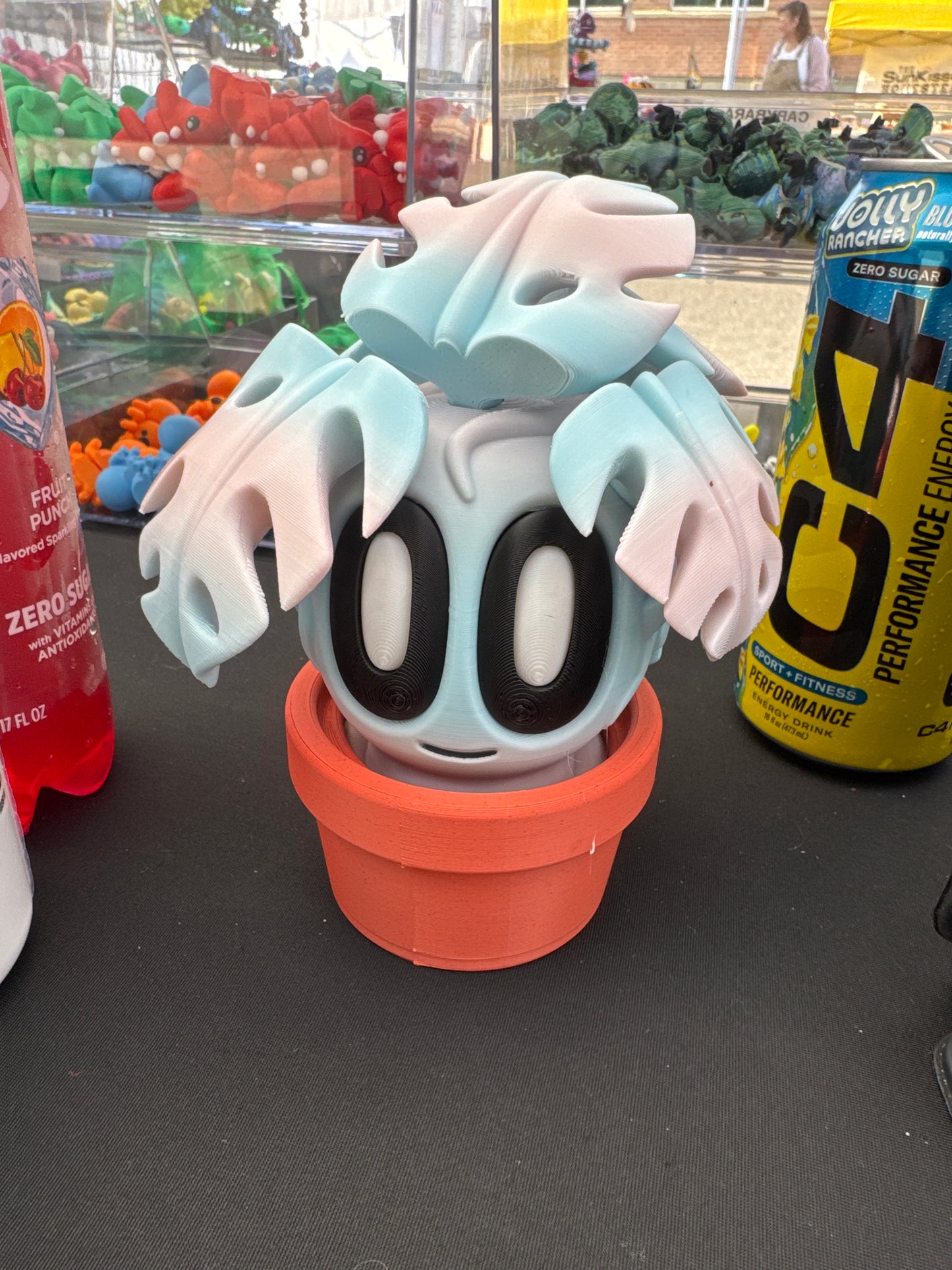 Blob Plant (Monstera)