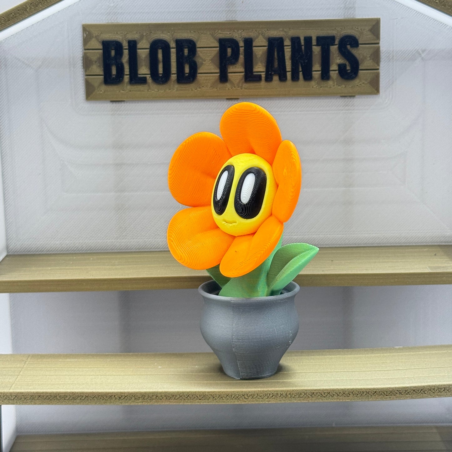 Blob Plant (Blob Flower)