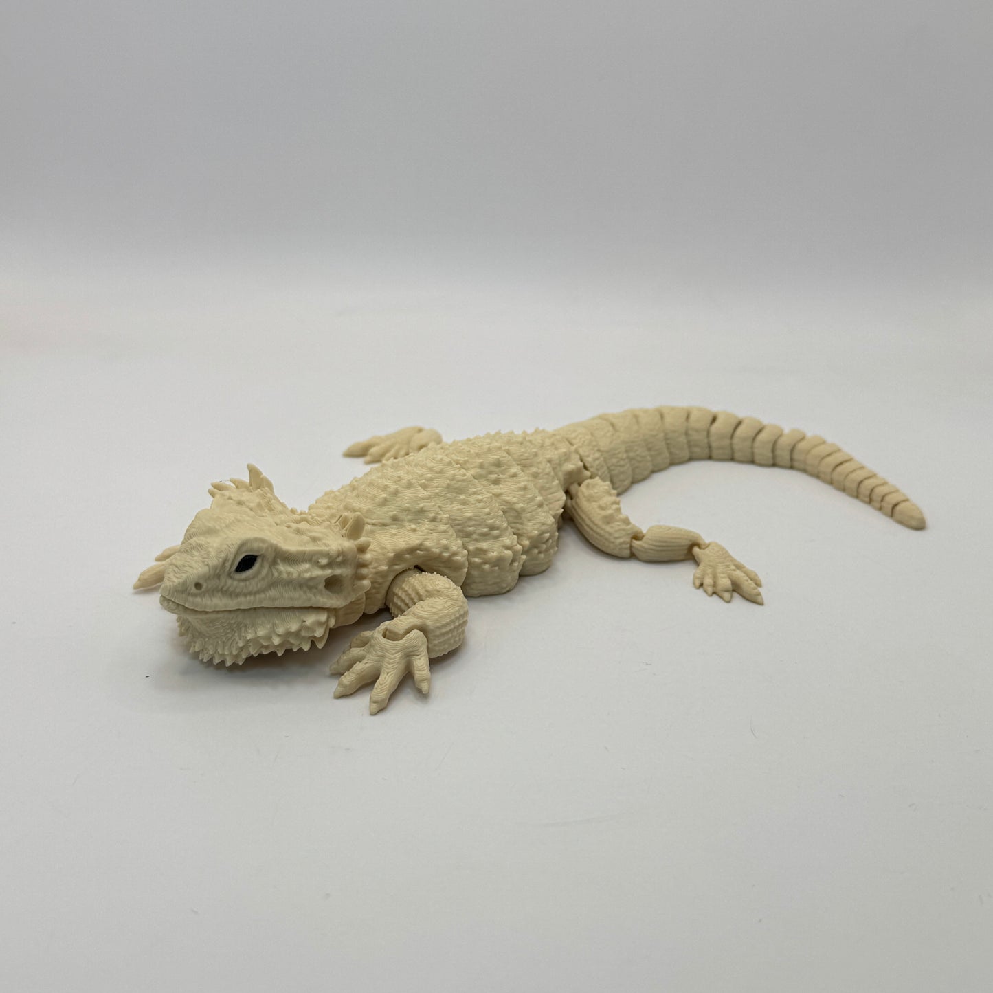 Bearded Dragon