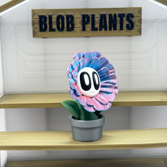 Blob Plant (Daisy)