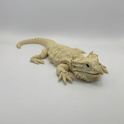 Bearded Dragon
