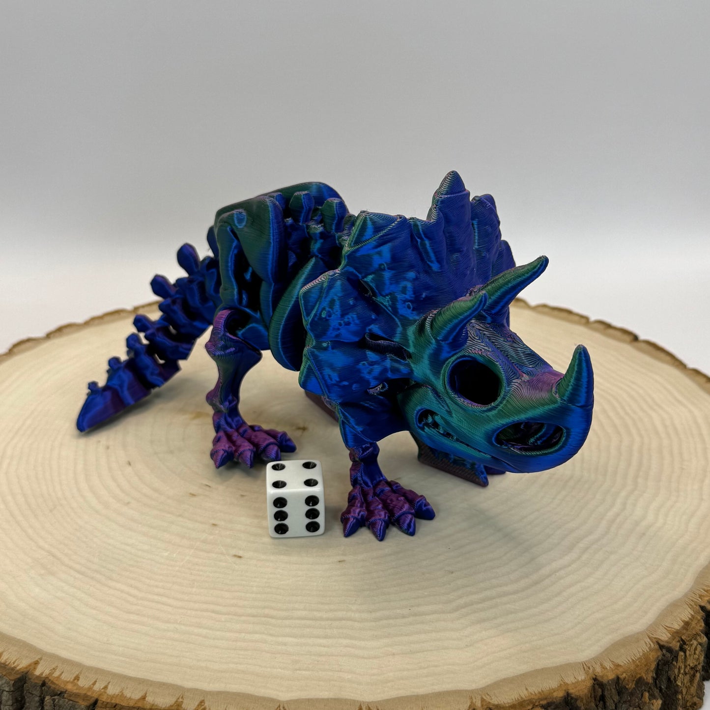 Skeleton Triceratops