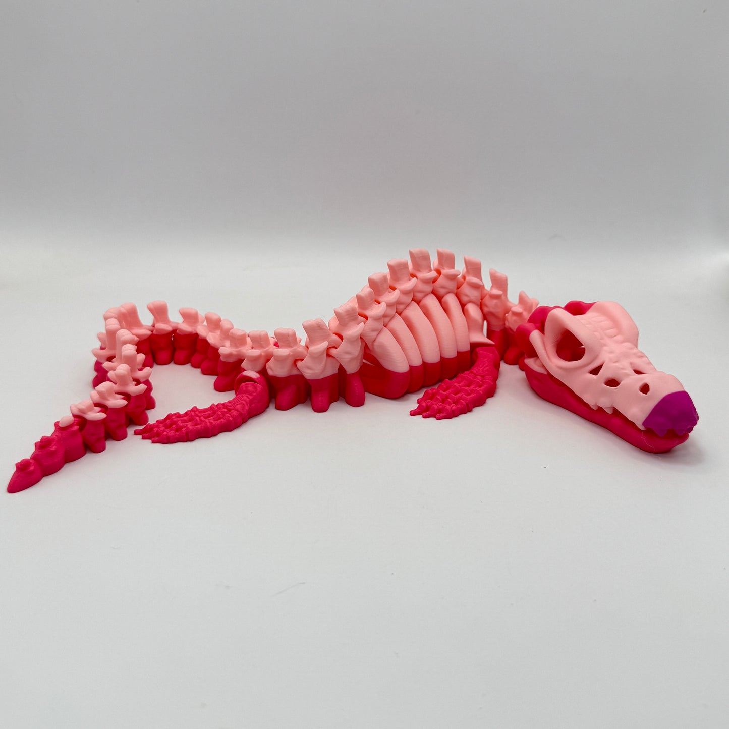 Skeleton Mosasaurus