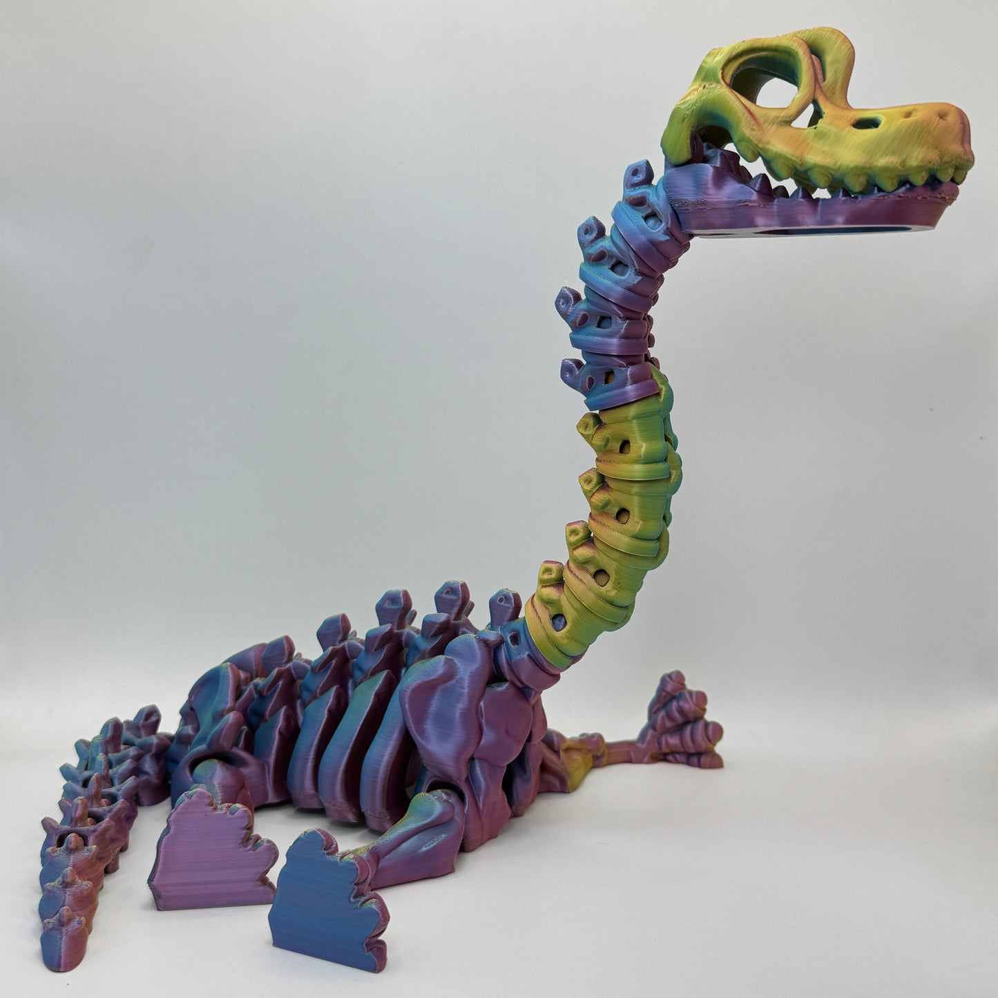 Skeleton Brachiosaurus