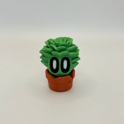 Blob Plant (Succulent)