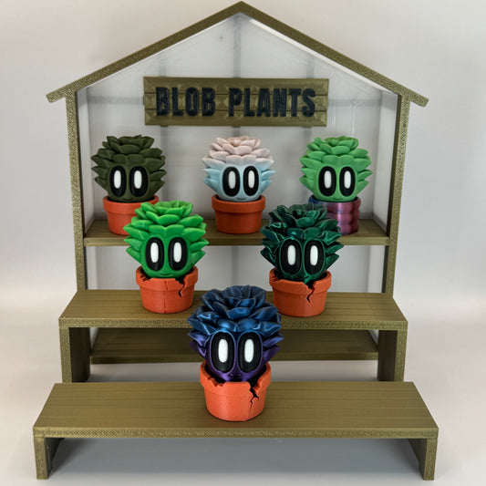 Blob Plant (Succulent)