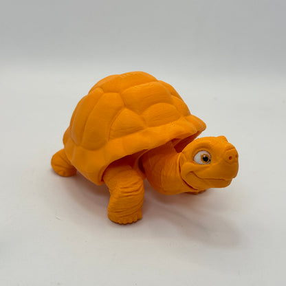 Tortoise