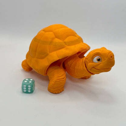 Tortoise