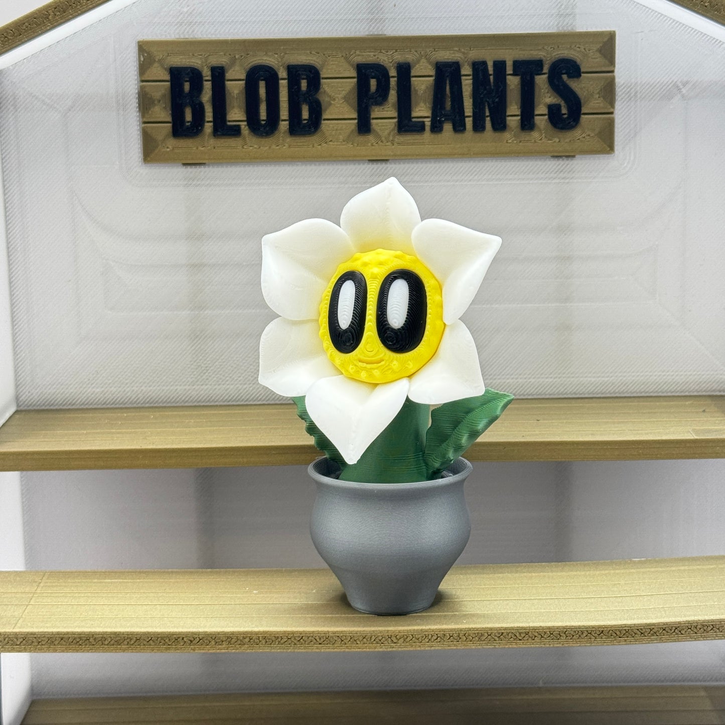 Blob Plant (Lily)