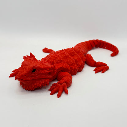 Bearded Dragon