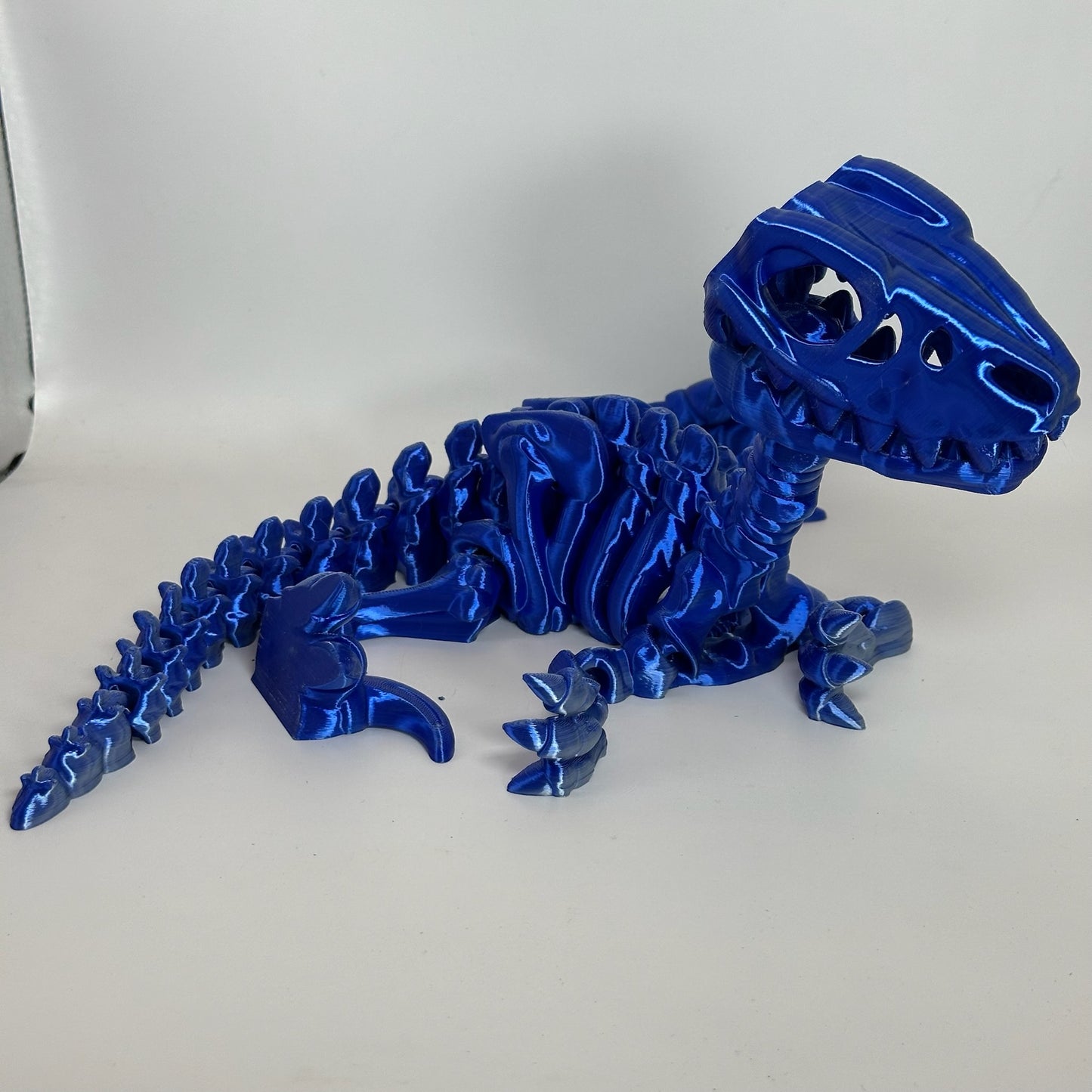 Skeleton Raptor