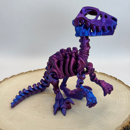 Skeleton Raptor